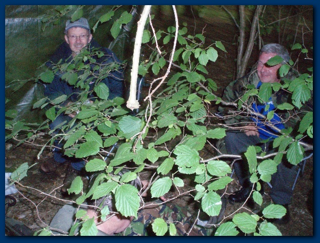 600x449 pixels (189K)